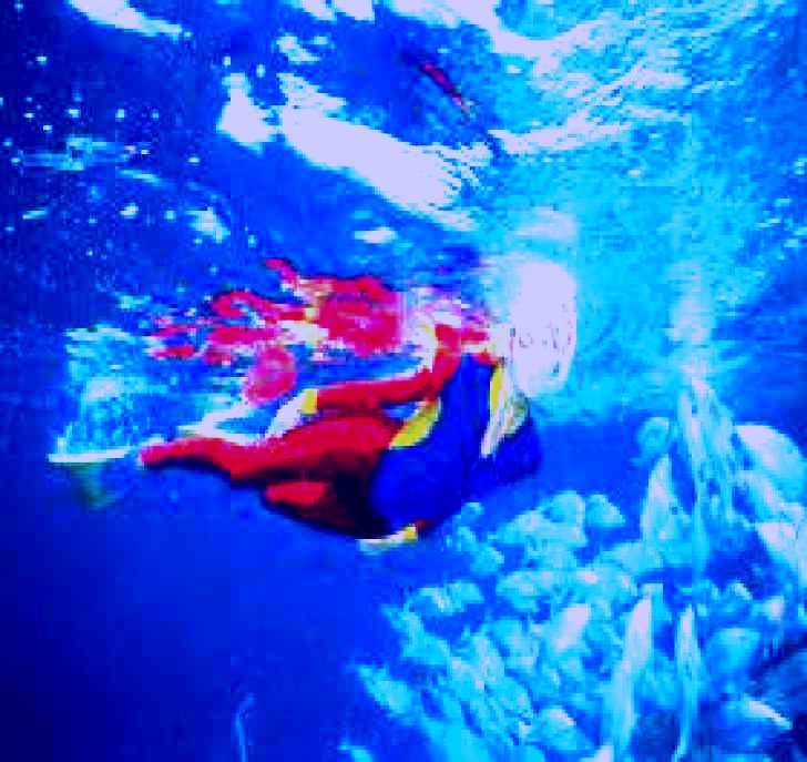 SubjectCoach | Outer Rocks Dive Site