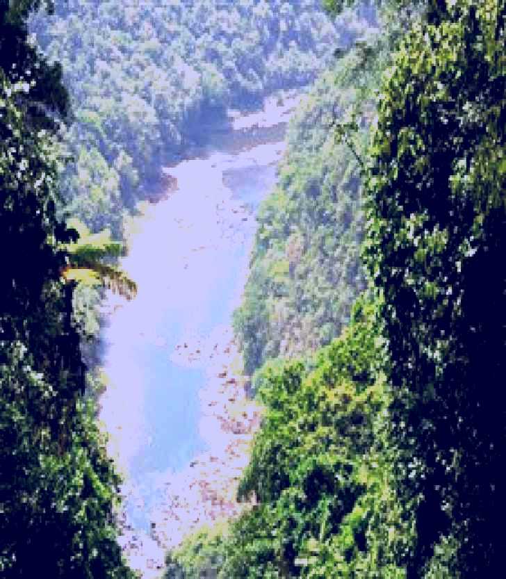 SubjectCoach | Palmerston, Wooroonooran National Park