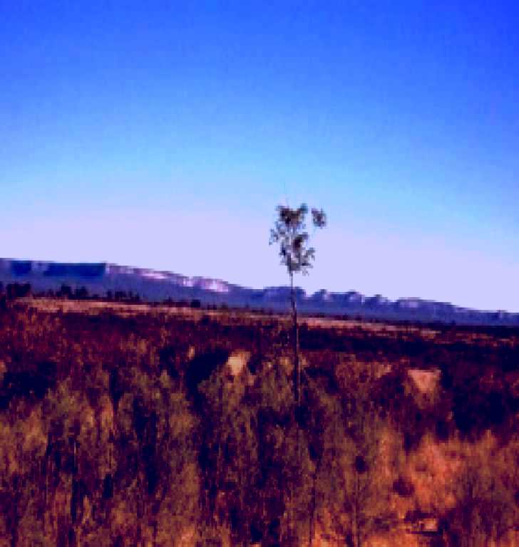 SubjectCoach | Tambos Wilderness Way