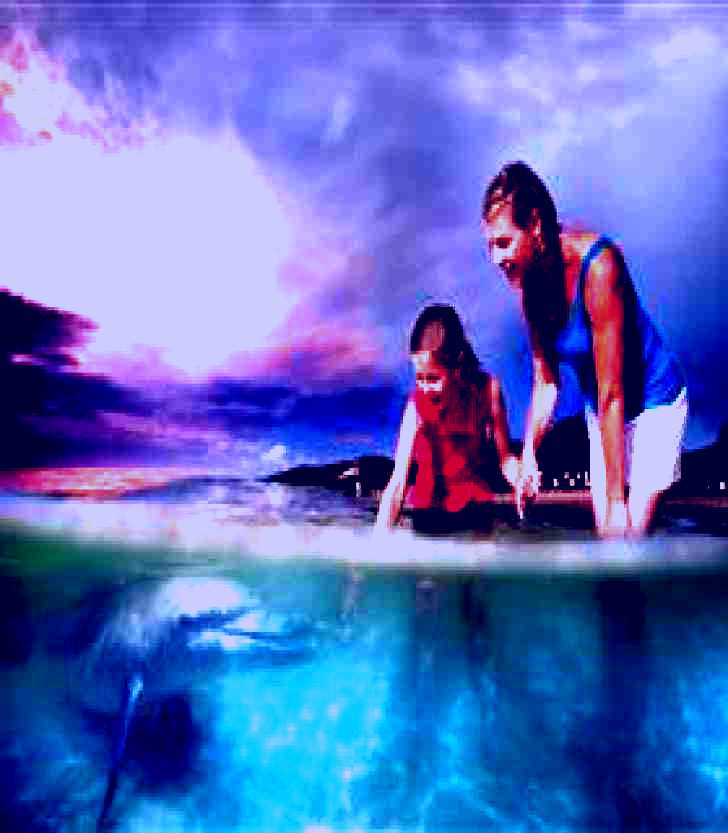 SubjectCoach | Tangalooma Dolphin Feeding