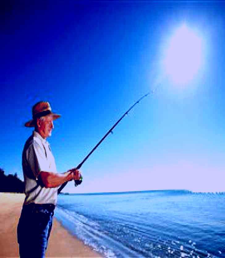 SubjectCoach | Woodgate Beach Park and Playground