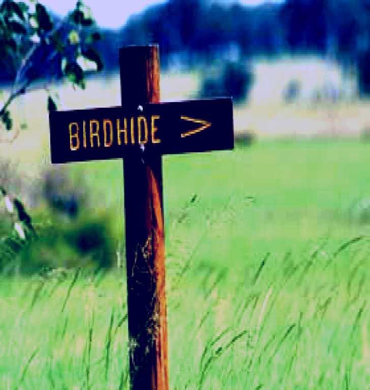 SubjectCoach | Wooroolin Wetland