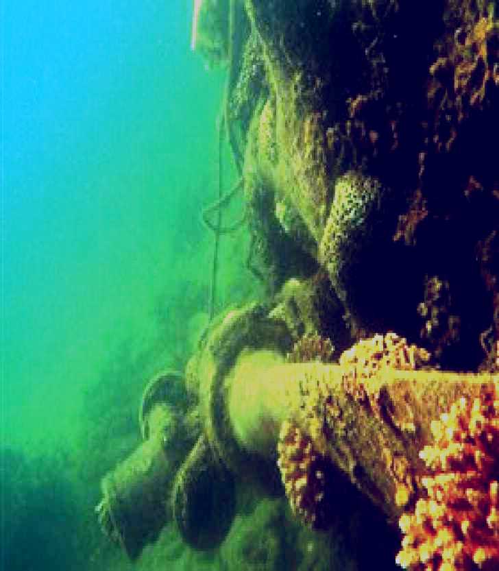 SubjectCoach | Wreck Diving at Magnetic Island