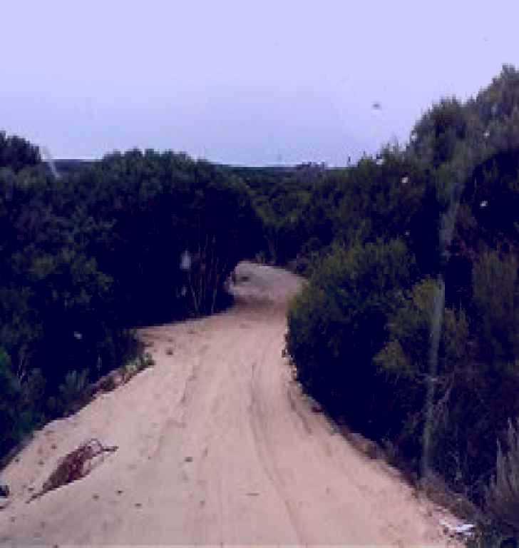 SubjectCoach | 42 Mile Crossing