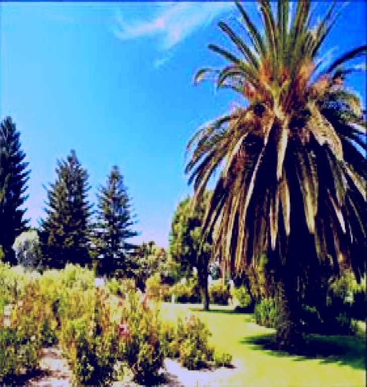 SubjectCoach | Ada Ryan Gardens