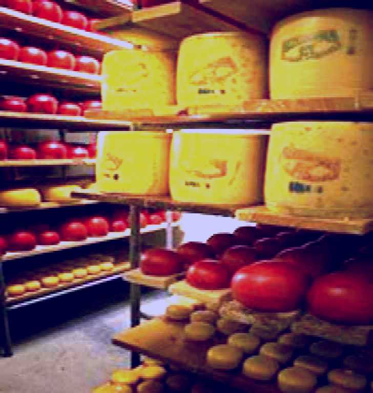 SubjectCoach | Alexandrina Cheese Company