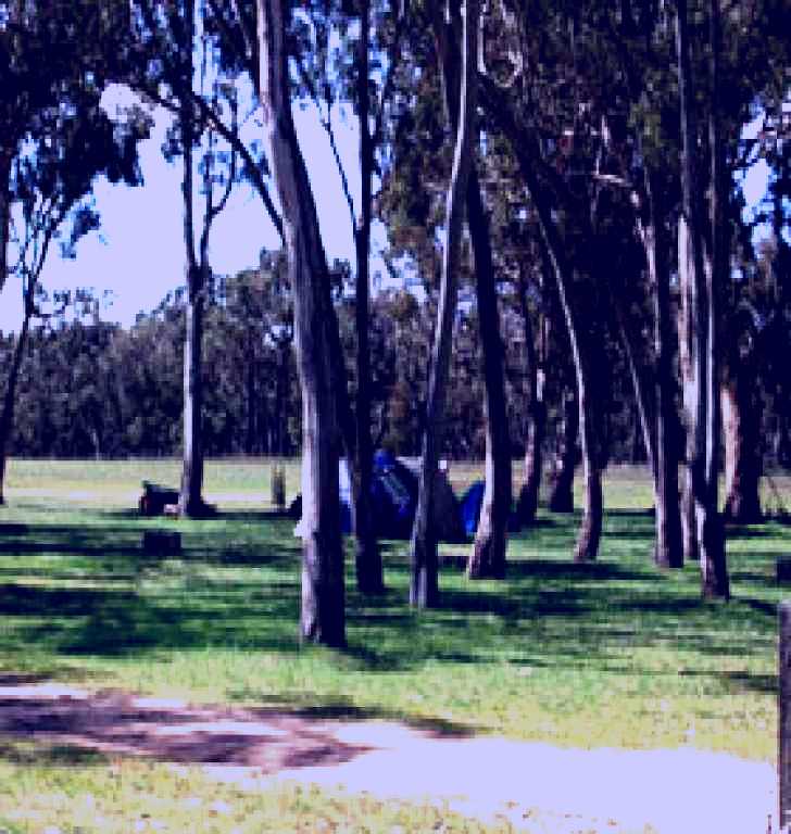 SubjectCoach | Black Cockatoo Bush Camp