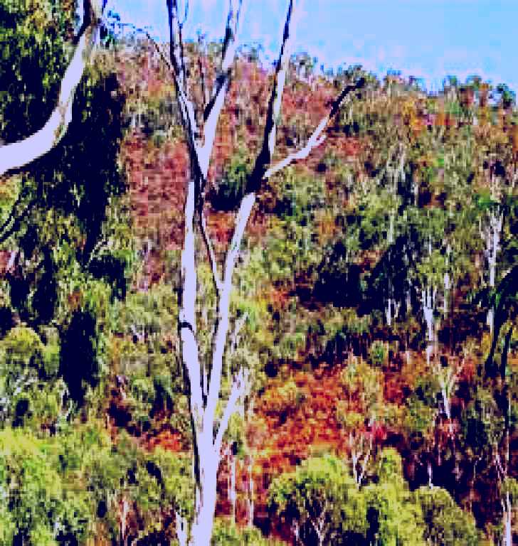 SubjectCoach | Black Hill Conservation Park