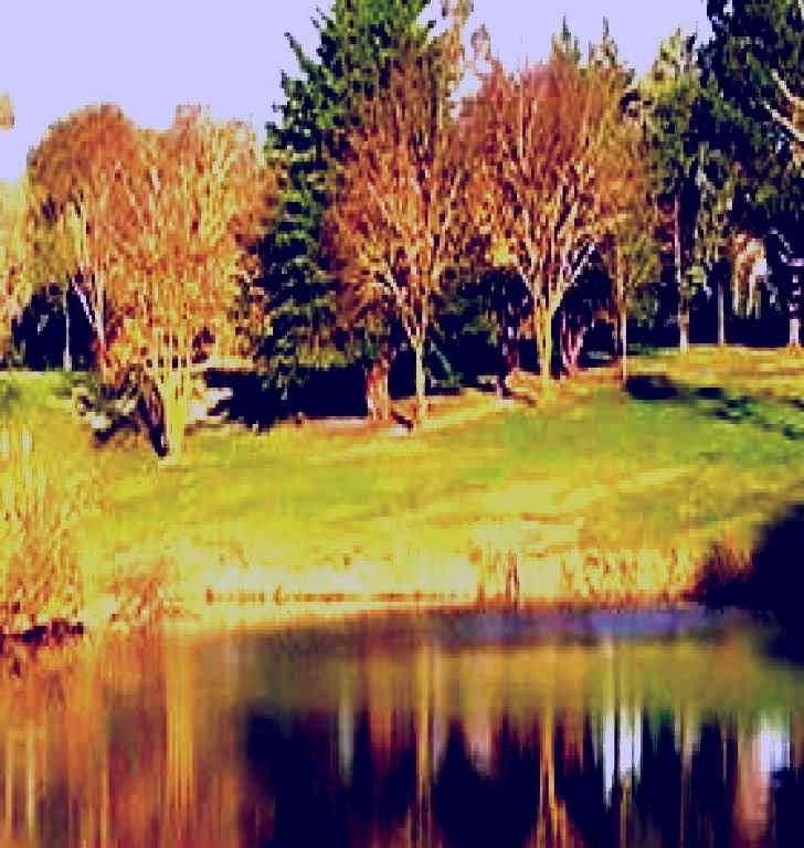 SubjectCoach | Blackwood Golf Club