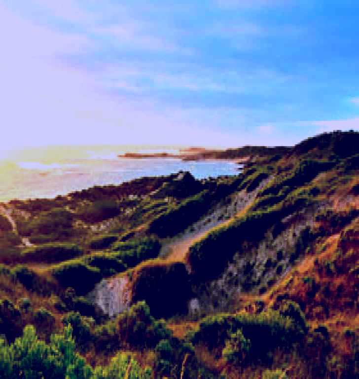 SubjectCoach | Bowman Scenic Drive