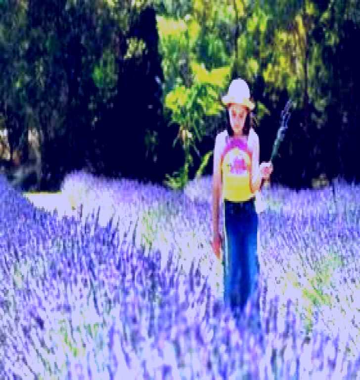 SubjectCoach | Brayfield Park Lavender Farm