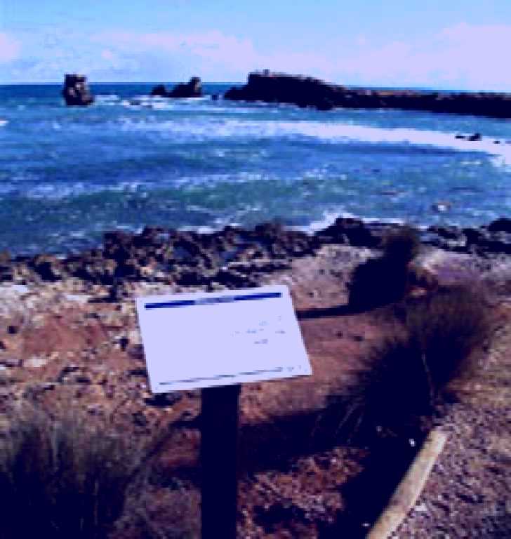 SubjectCoach | Cape Buffon Walking Trail