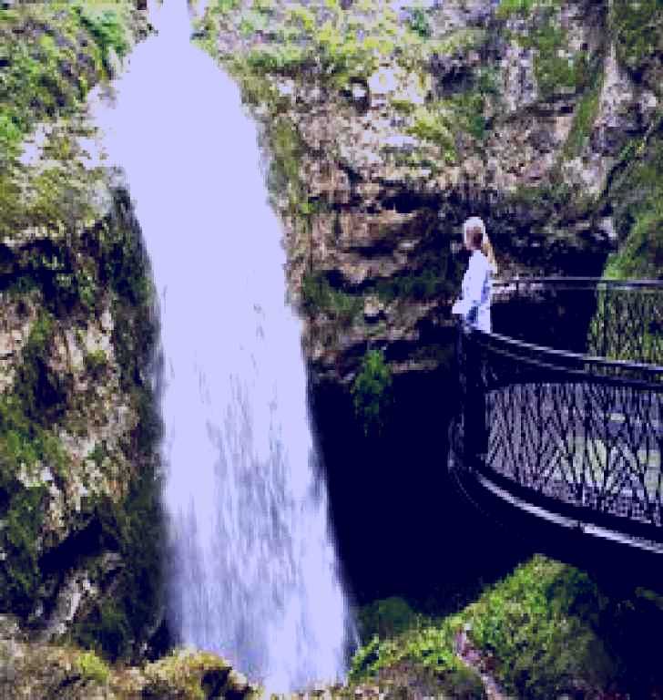 SubjectCoach | Cave Gardens