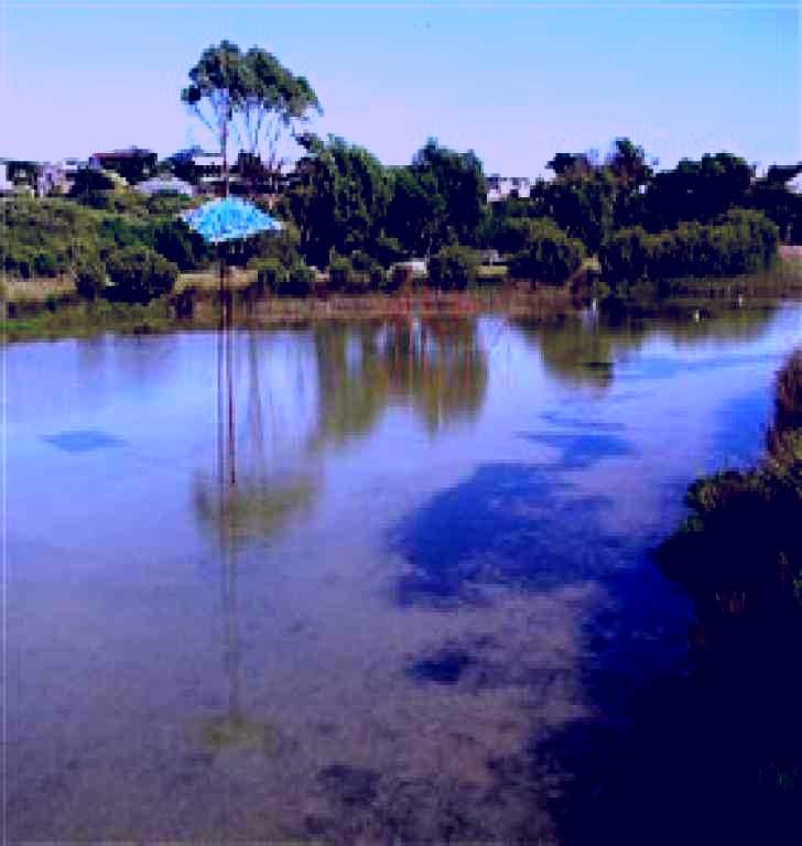 SubjectCoach | Centennial Park Beachport