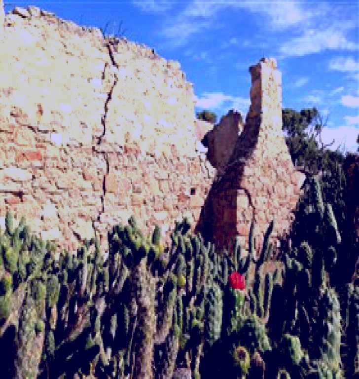 SubjectCoach | Chinaman's Hut