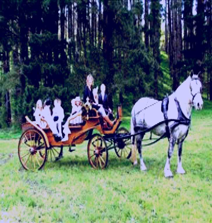 SubjectCoach | Classic Carriage Drives