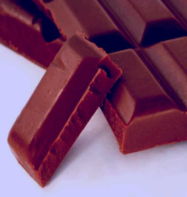 SubjectCoach | Cocolat