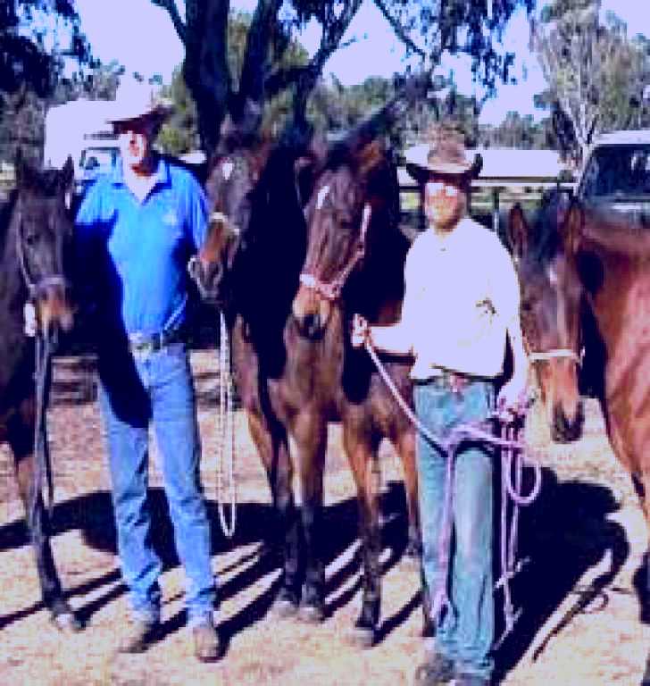 SubjectCoach | Coffin Bay Brumby Preservation Society Incorporated