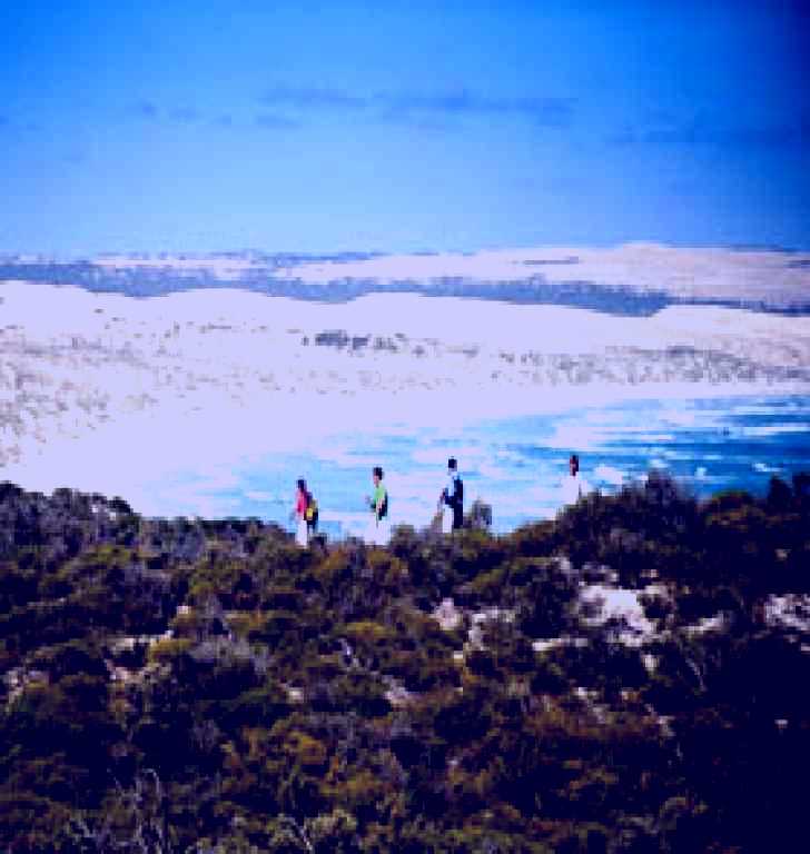 SubjectCoach | Coffin Bay National Park