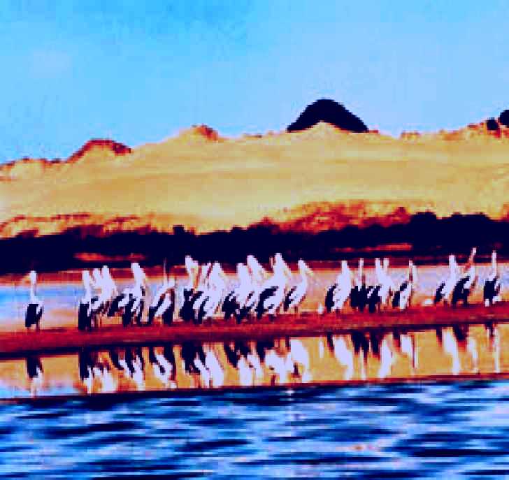 SubjectCoach | Coorong National Park