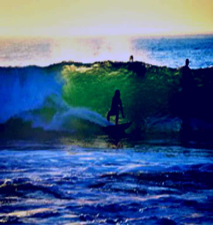 SubjectCoach | Daly Head National Surfing Reserve