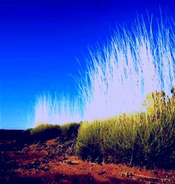 SubjectCoach | Danggali Wilderness Protection Area and Conservation Park