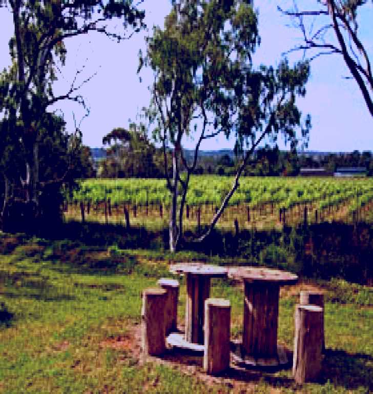 SubjectCoach | Goodieson Brewery