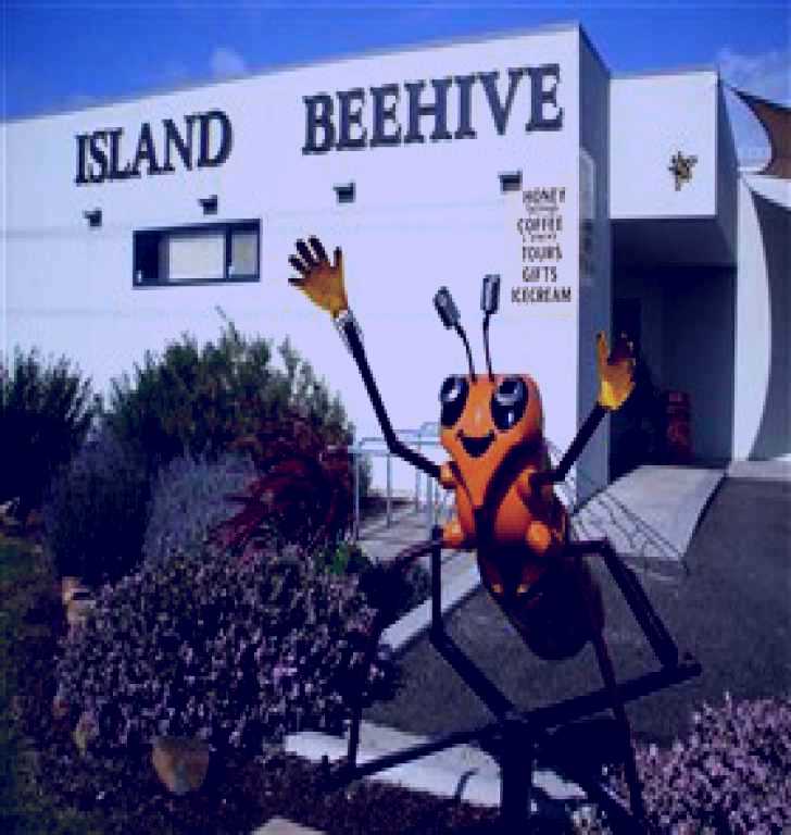 SubjectCoach | Island Beehive Pty Ltd