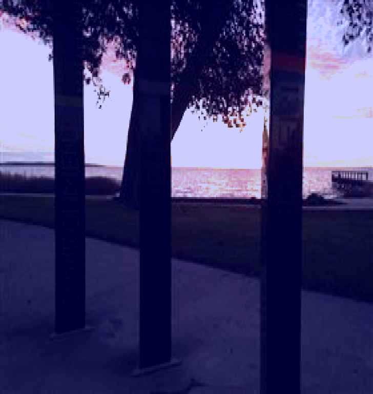 SubjectCoach | Meningie's Pelican Path - Yunti Ngopun Ngami