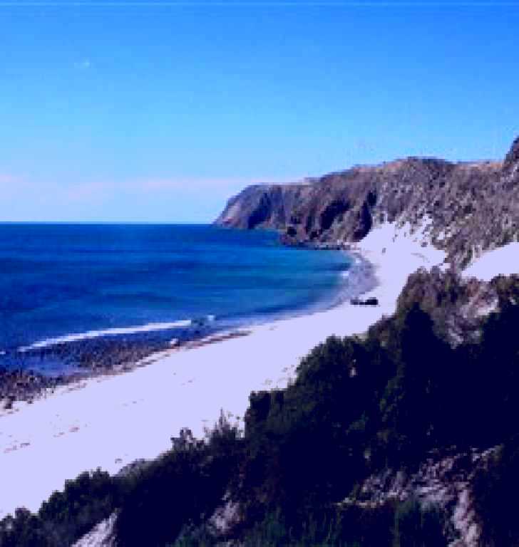 SubjectCoach | Morgan Beach