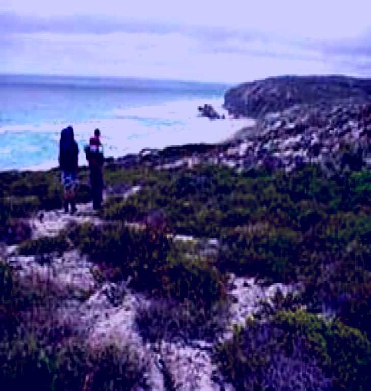 SubjectCoach | Murray Lagoon - Cape Gantheaume Conservation Park