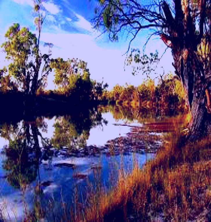 SubjectCoach | Murray River National Park