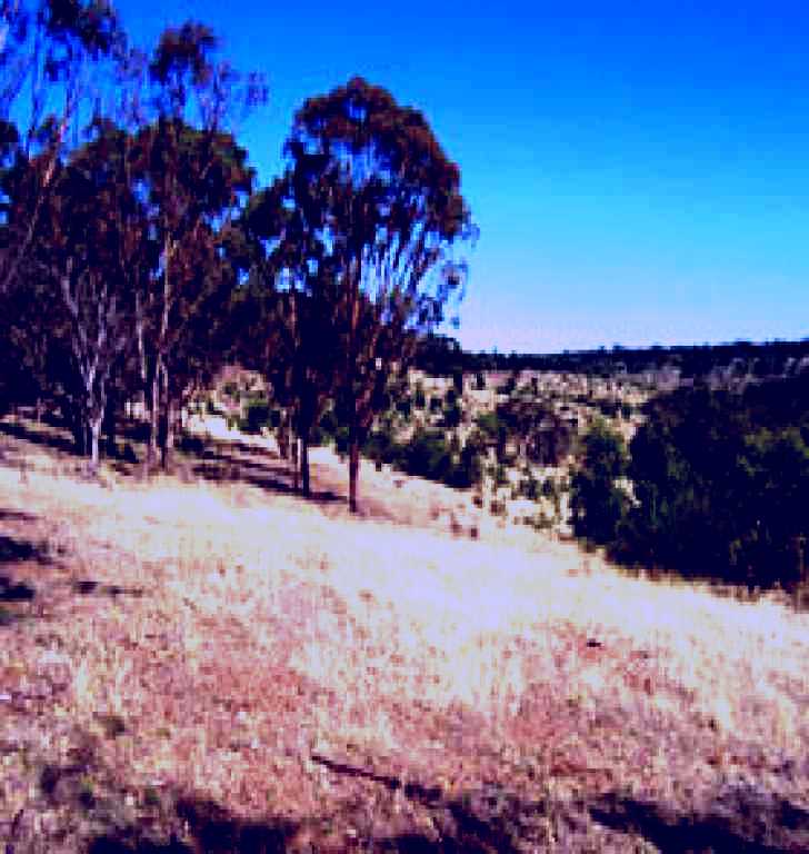 SubjectCoach | Onkaparinga River National Park