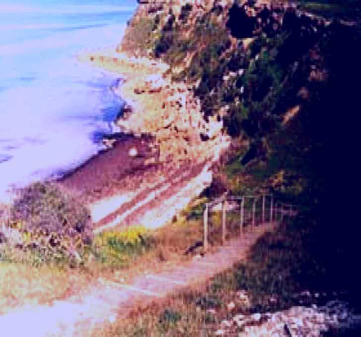 SubjectCoach | Port Vincent Walking Trail