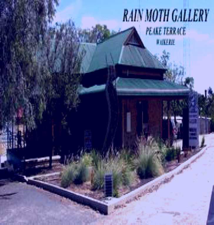 SubjectCoach | Rain Moth Gallery