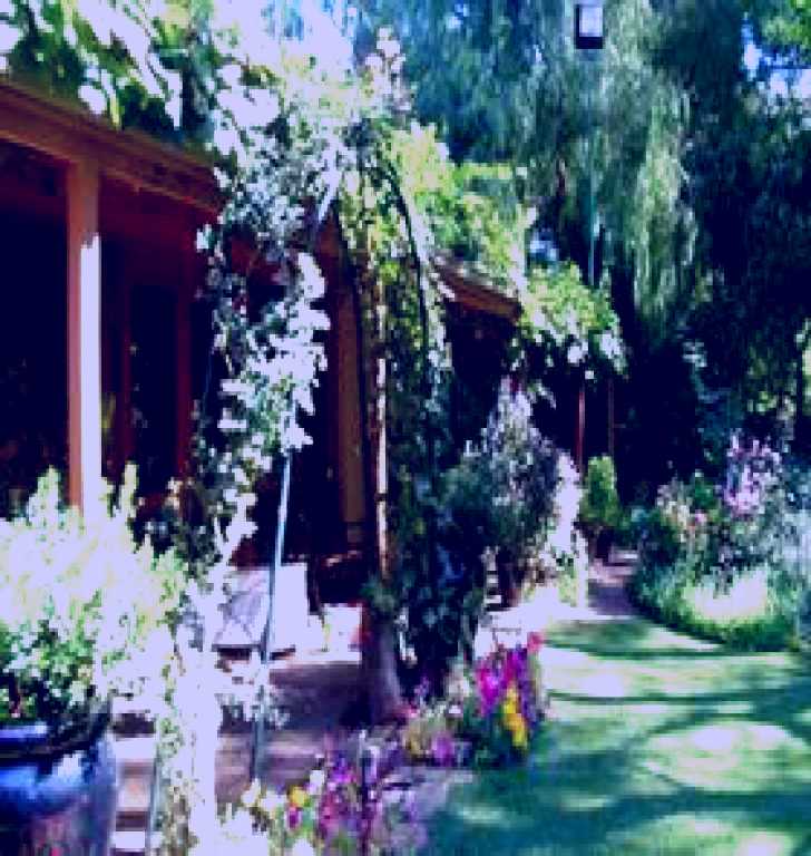 SubjectCoach | Rainforest Retreat