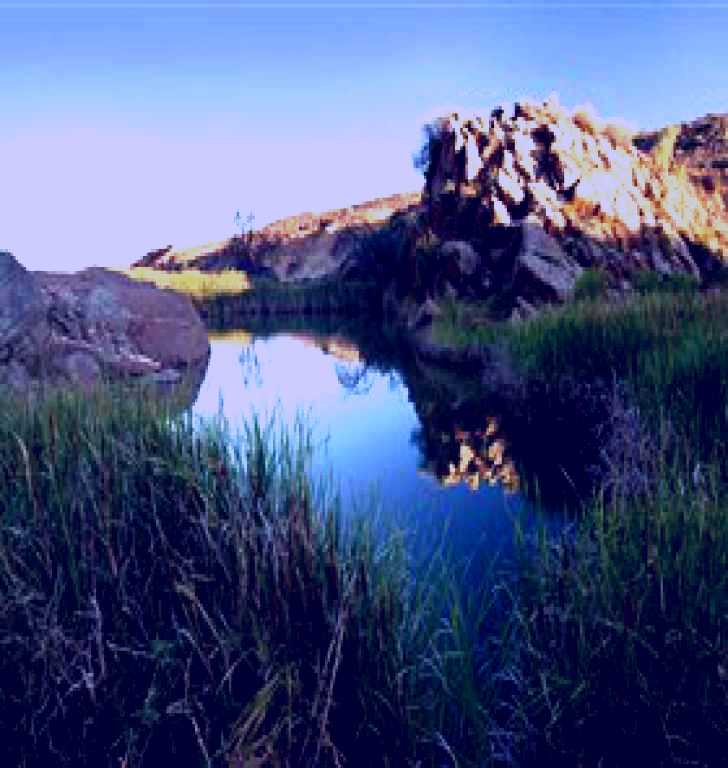 SubjectCoach | Red Banks Conservation Park