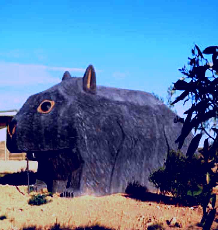 SubjectCoach | Scotdesco Aboriginal Community