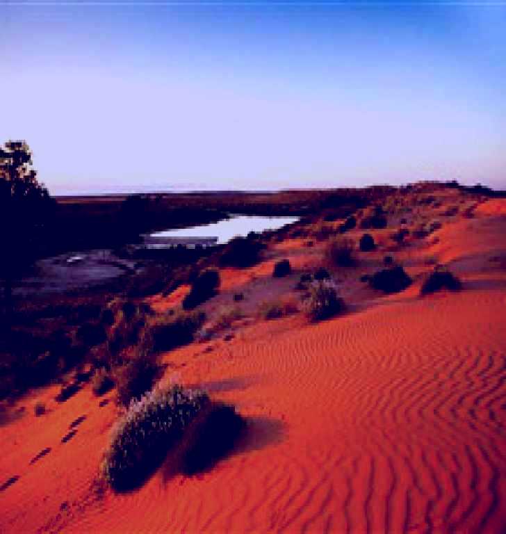 SubjectCoach | Simpson Desert Conservation Park and Regional Reserve