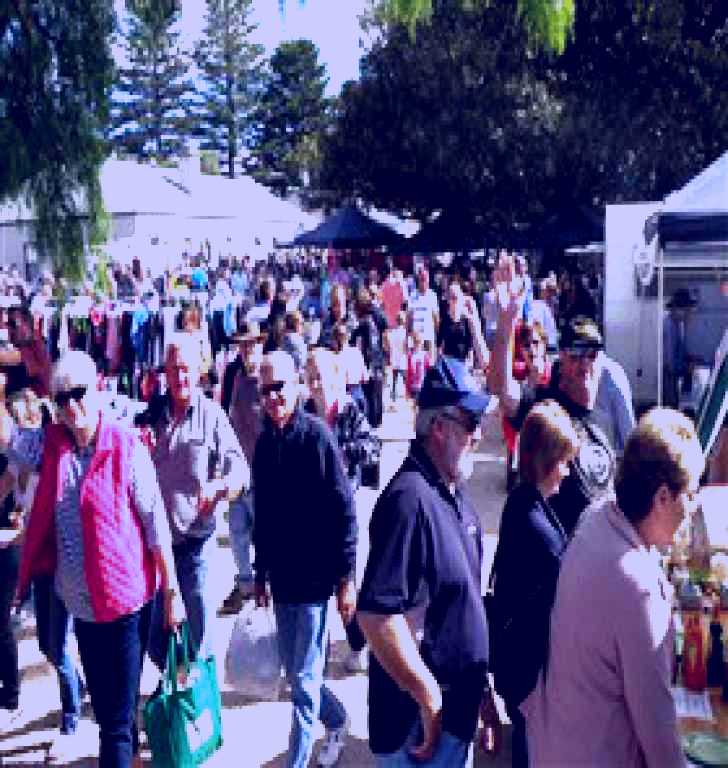 SubjectCoach | Stansbury Seaside Markets