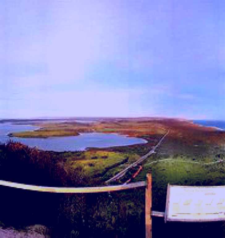 SubjectCoach | The Investigator Trail