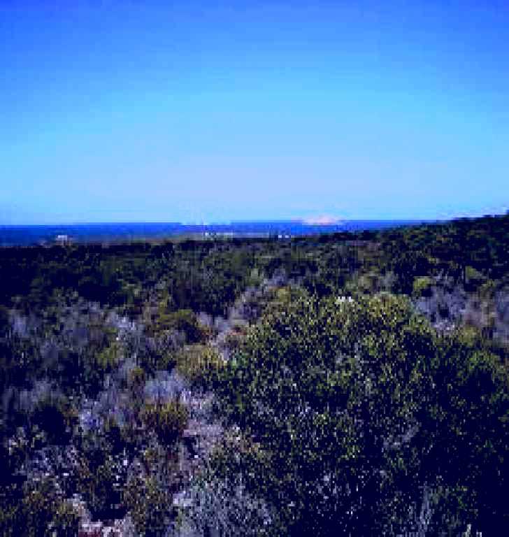 SubjectCoach | Thomson-Pfitzner Plaster Trail Hike