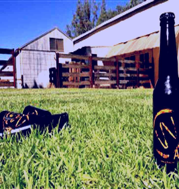 SubjectCoach | Wilkadene, Woolshed Brewery