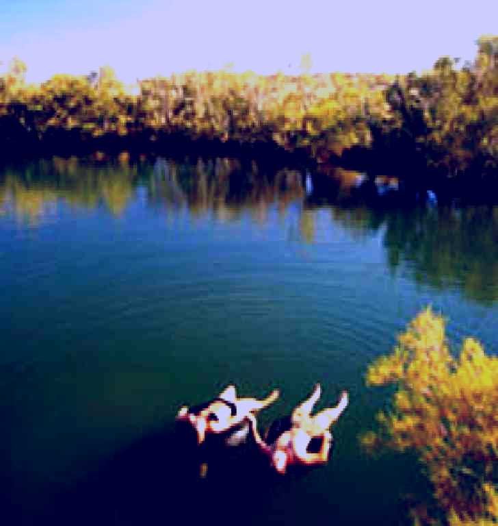 SubjectCoach | Witjira National Park