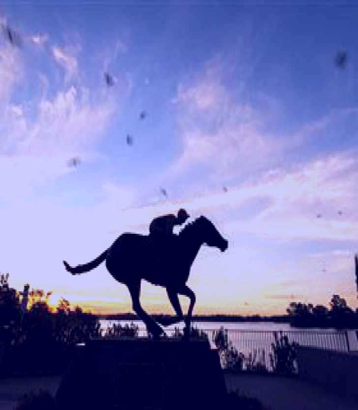 SubjectCoach | Black Caviar Statue