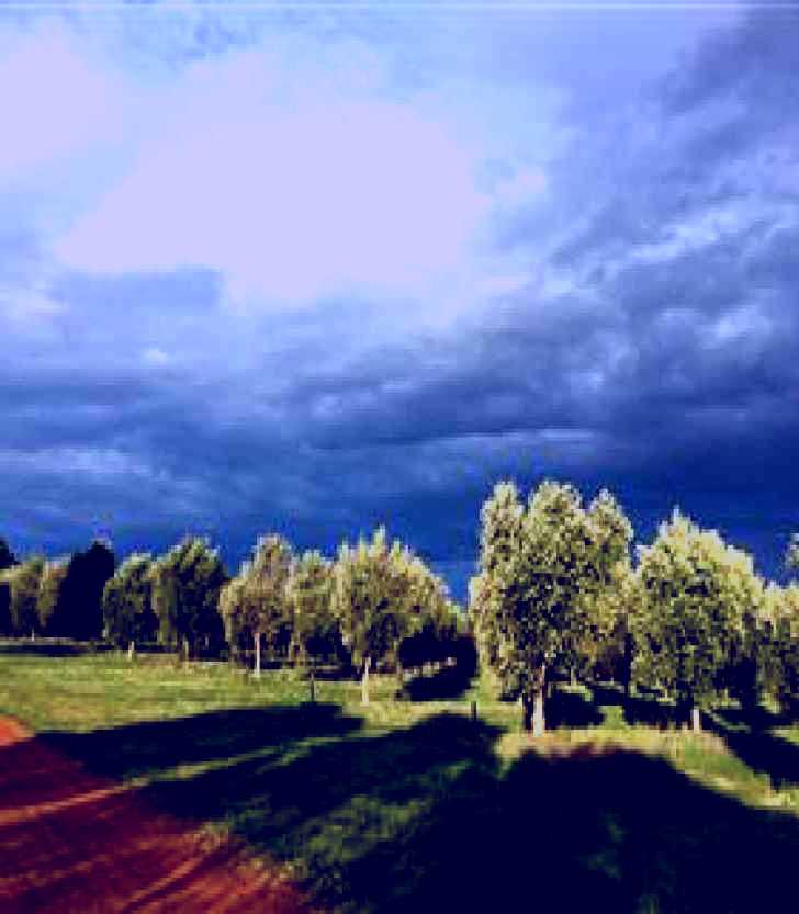 SubjectCoach | Camilo