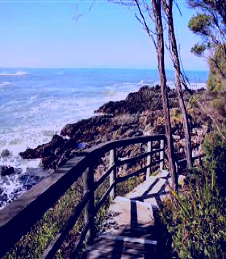 SubjectCoach | Cape Conran Nature Trail