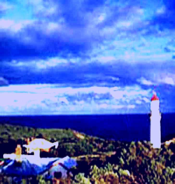 SubjectCoach | Cape Schanck Lighthouse Reserve
