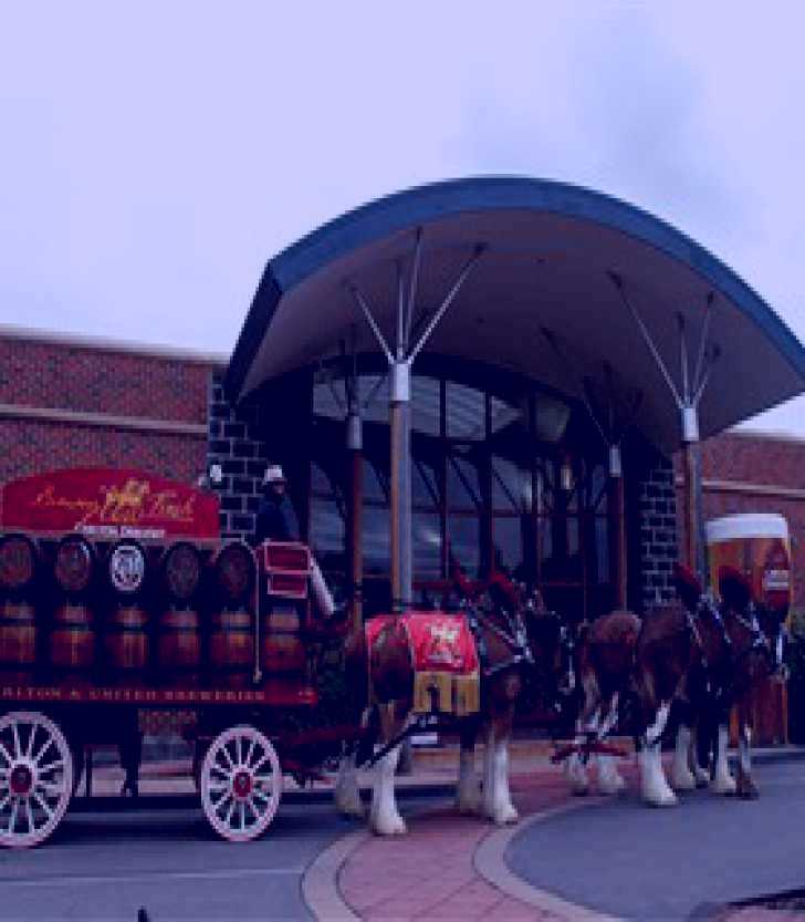 SubjectCoach | Carlton Brewhouse