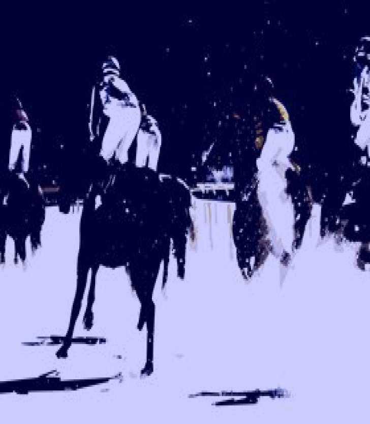 SubjectCoach | Fat Fox Art Gallery